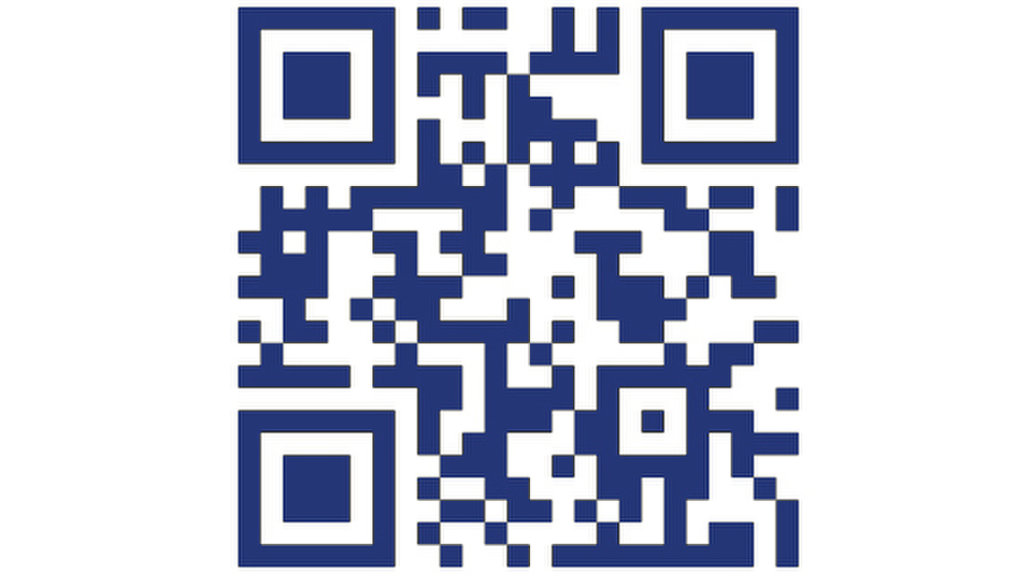 finto qr code