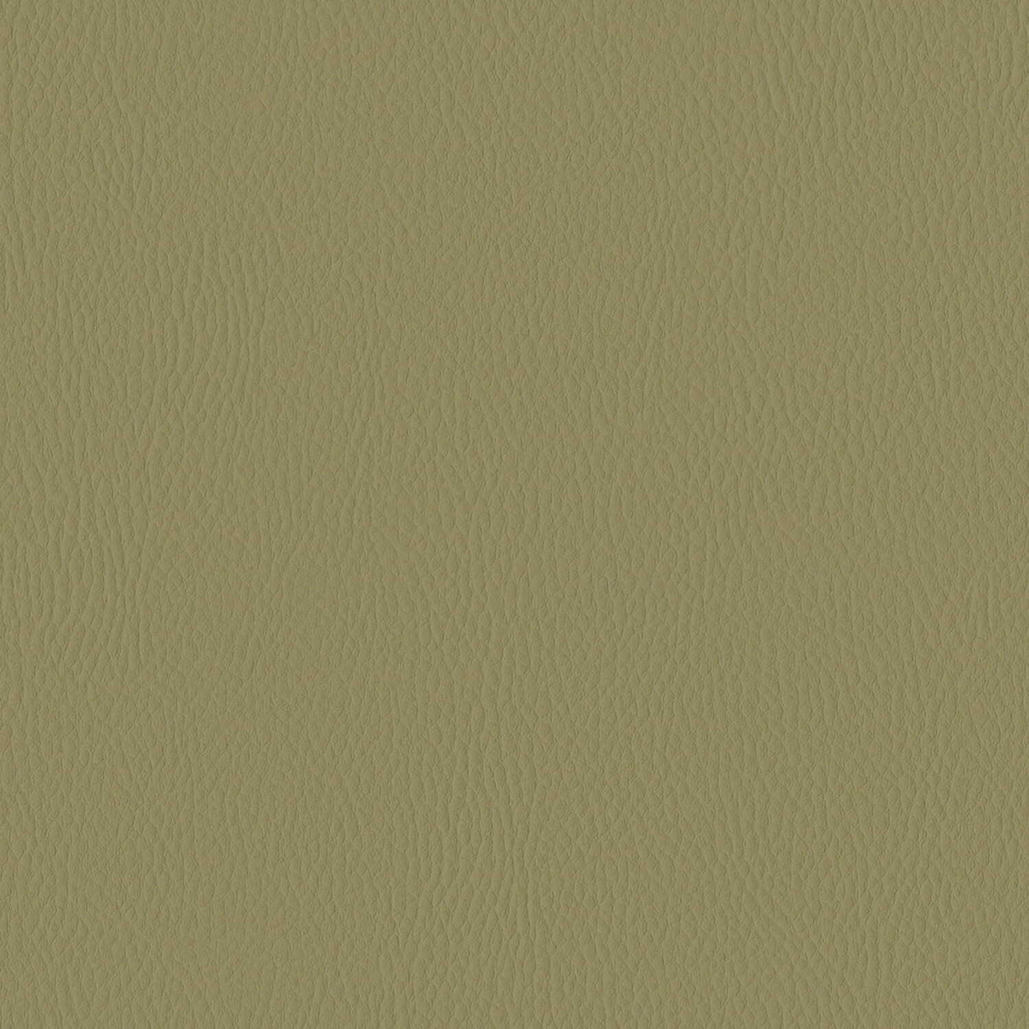 p145