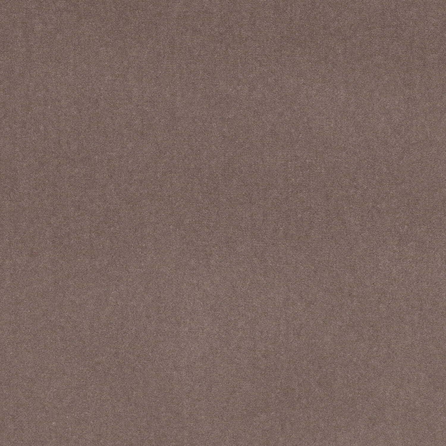 d279