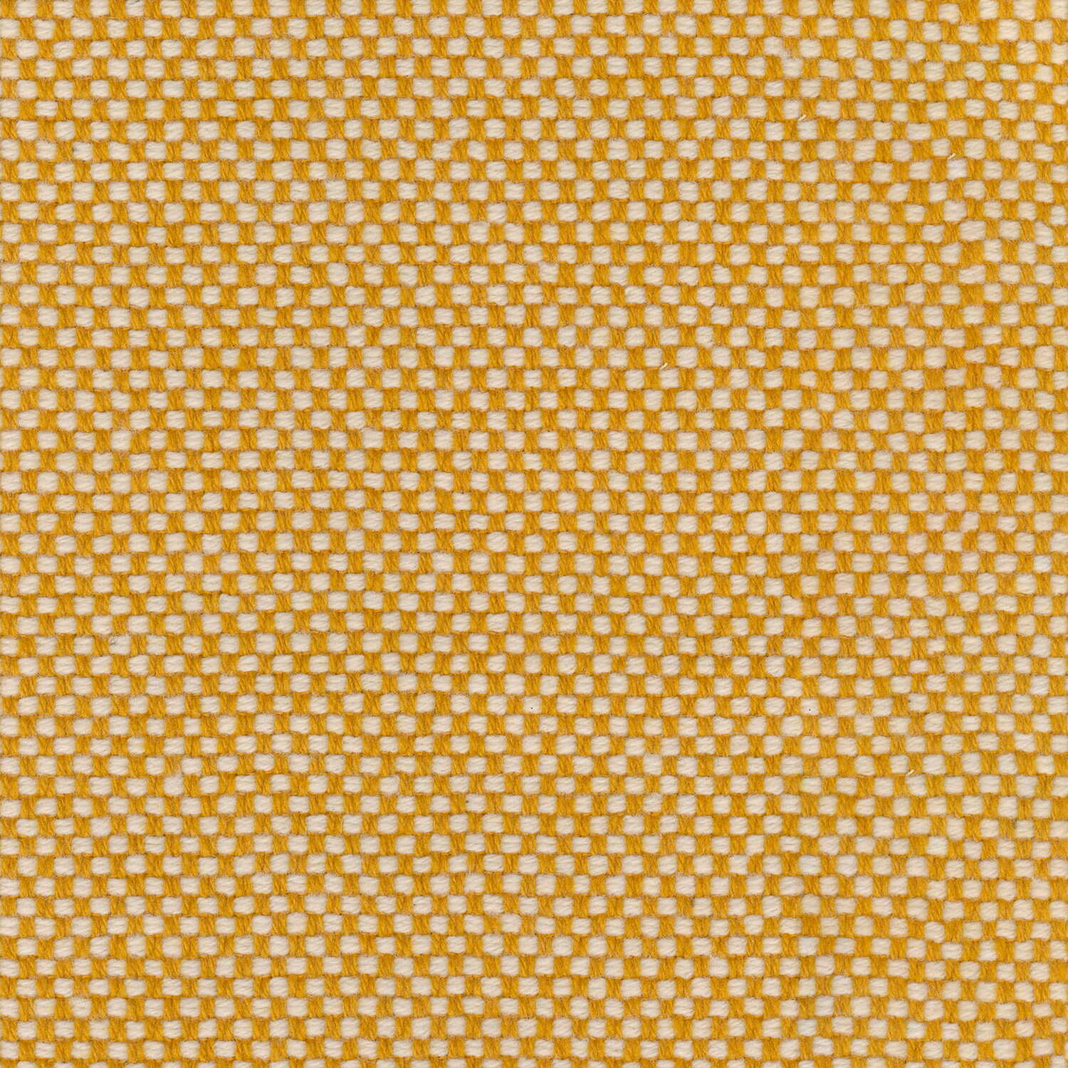 1101
