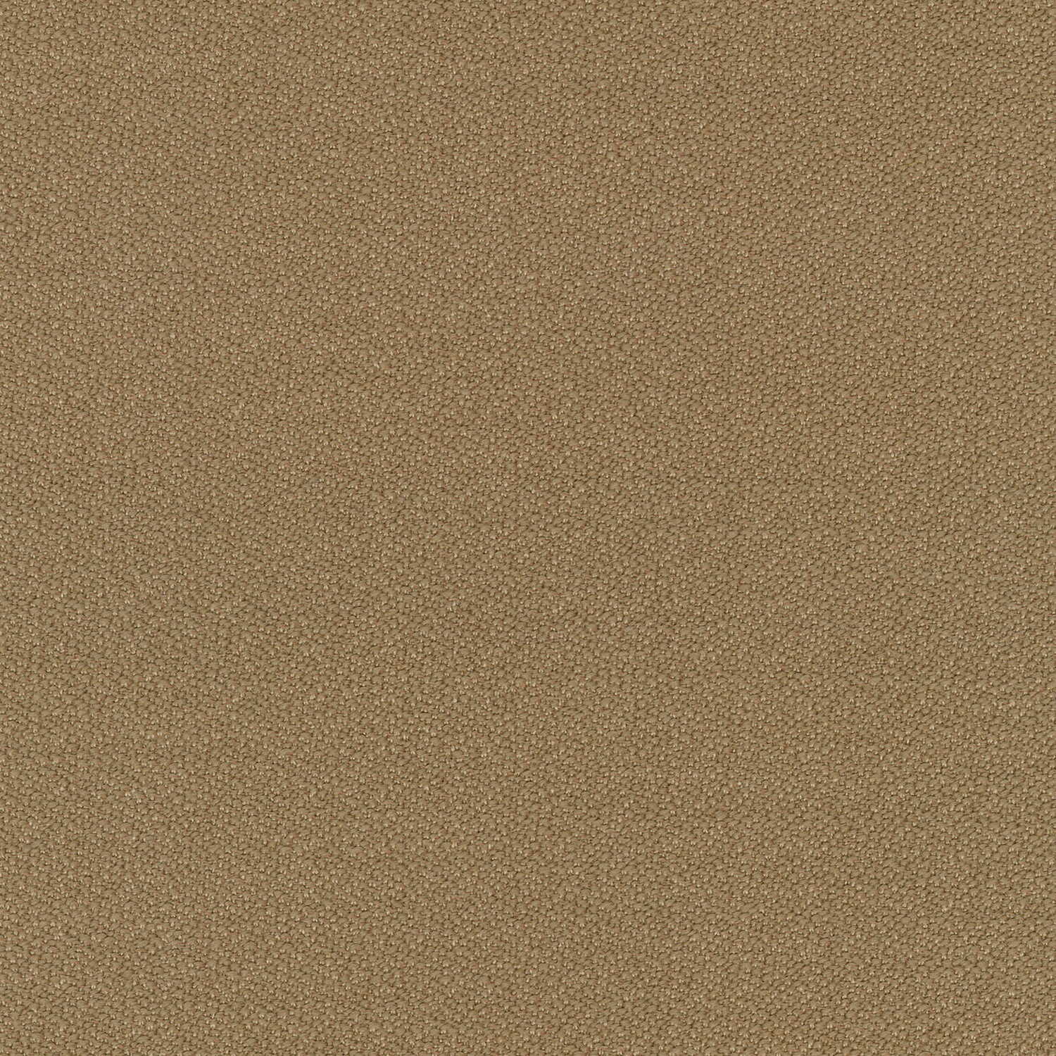 e231
