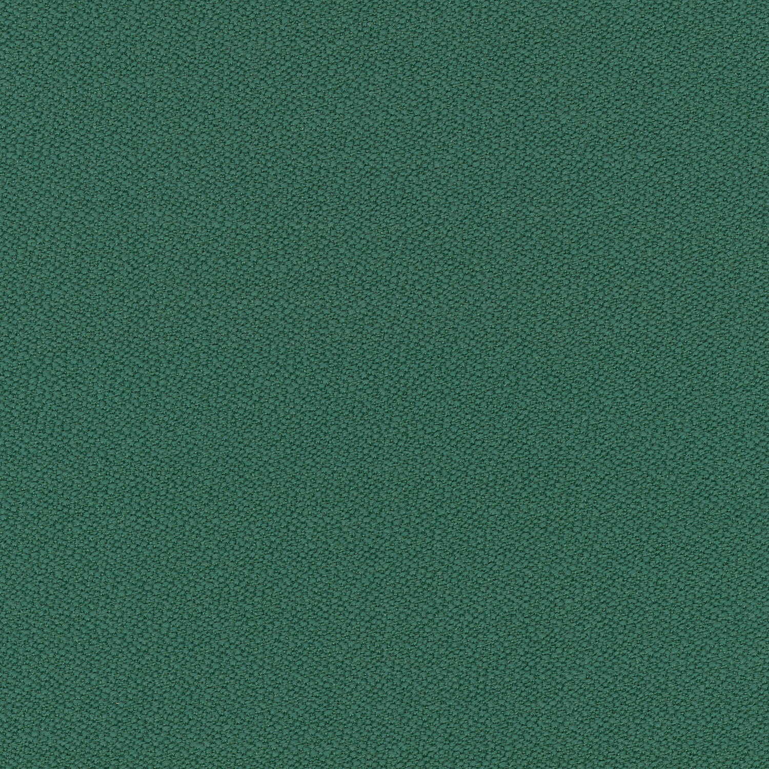 e239