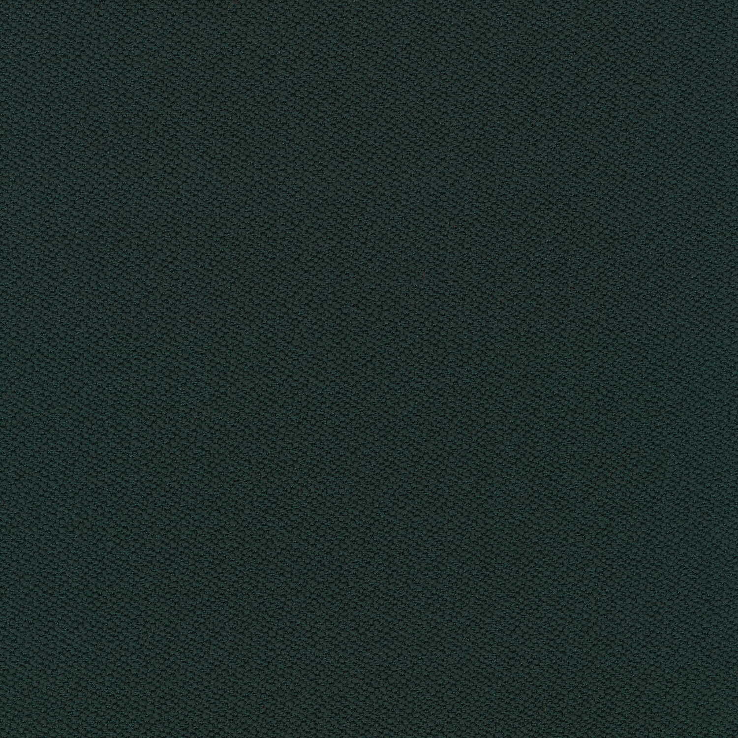 e241