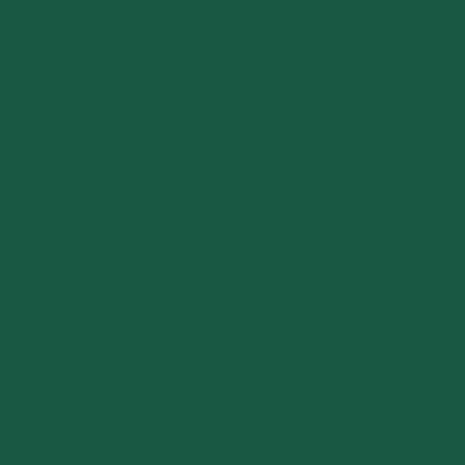 Detail of green plastic finish Cappellini