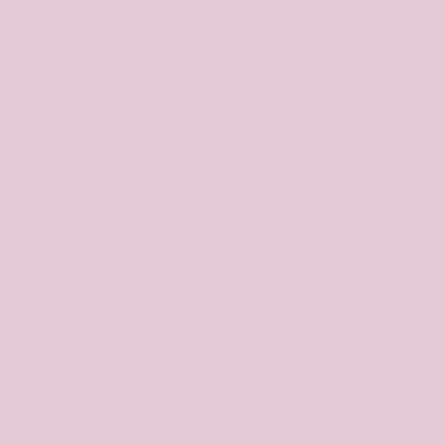 Detail of pink blown glass finish Cappellini