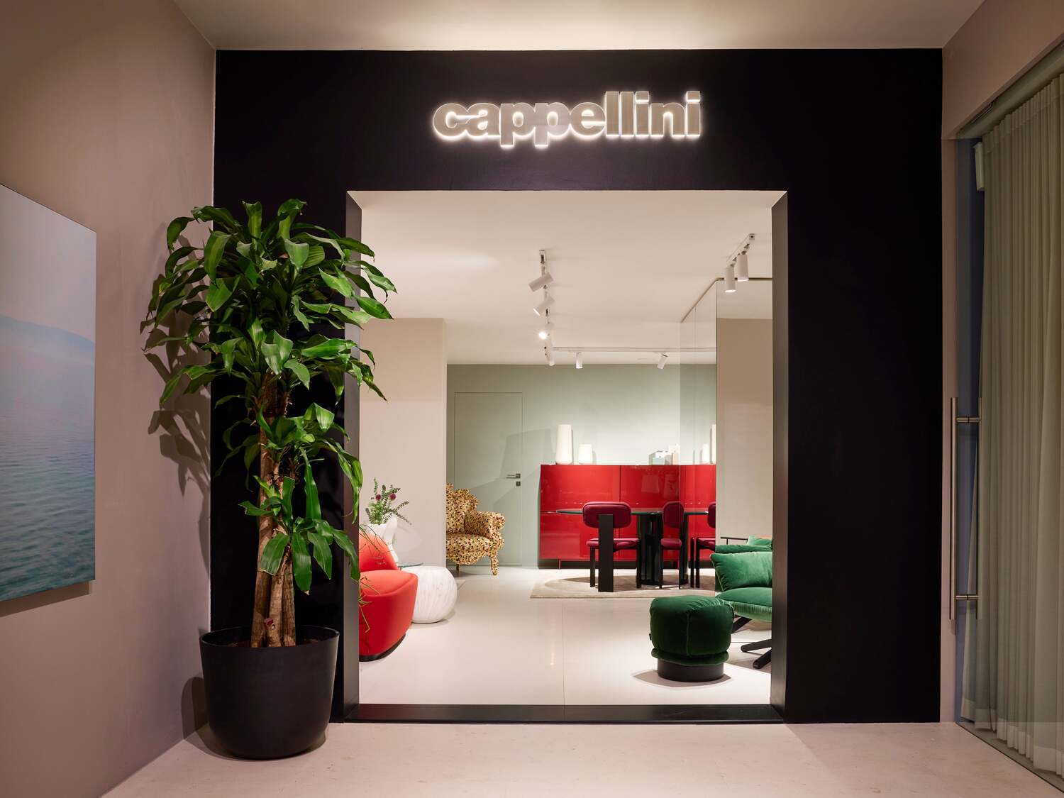 01 spazio cappellini madrid