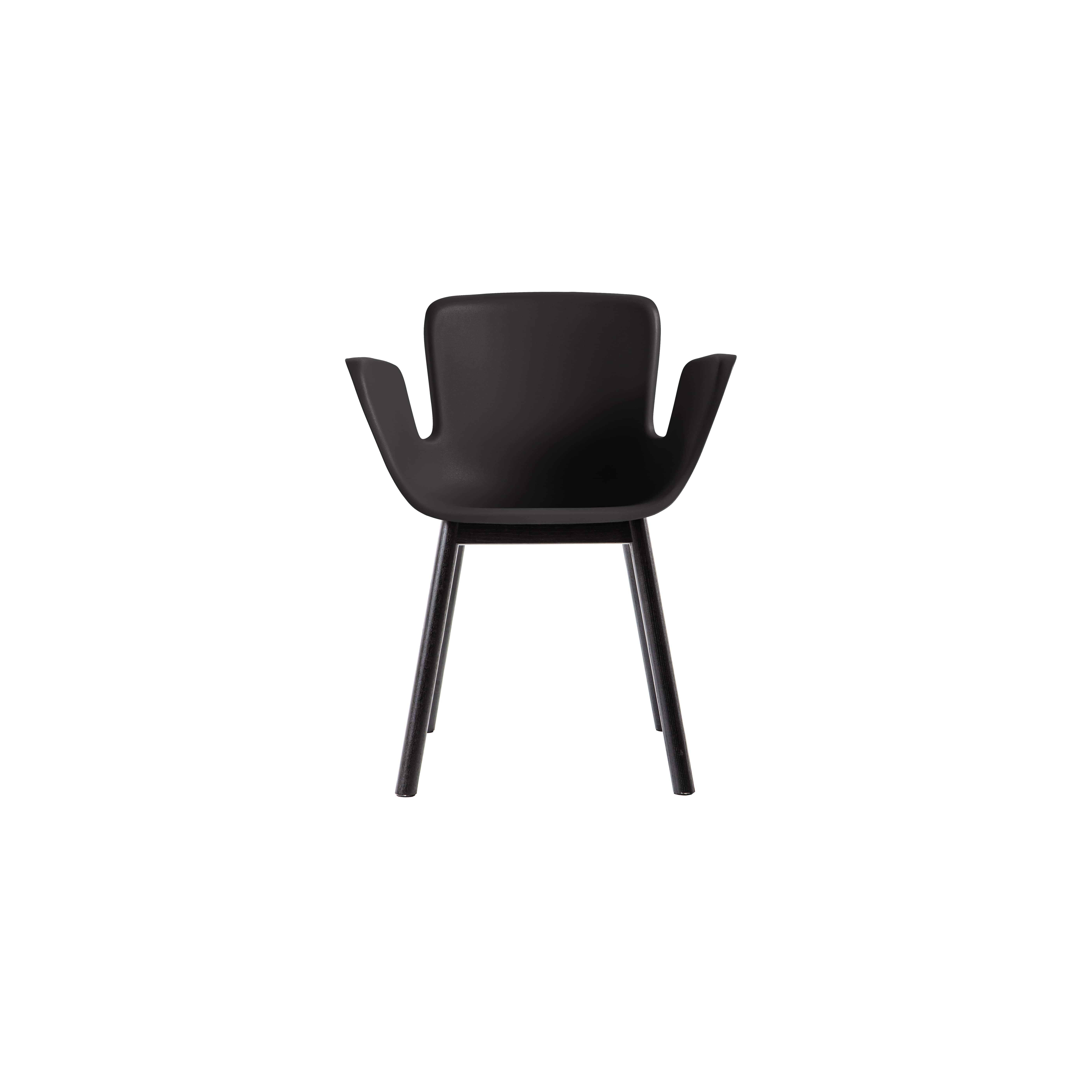 Juli Plastic by Werner Aisslinger - Chairs and small armchairs